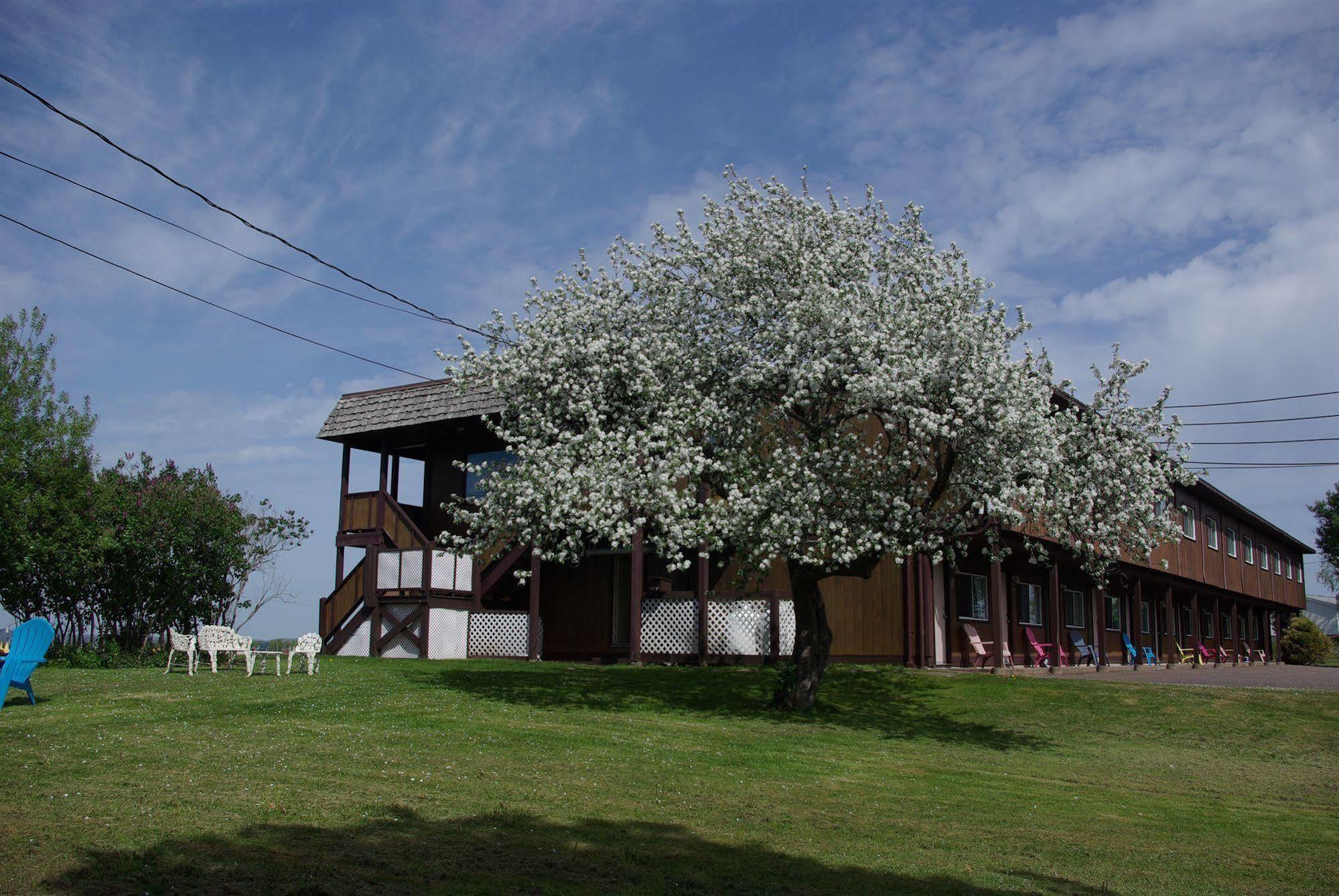 Tidal Bore Inn ทรูโร ภายนอก รูปภาพ